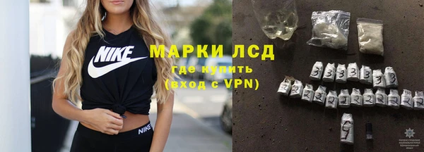 ГАЛЛЮЦИНОГЕННЫЕ ГРИБЫ Михайлов