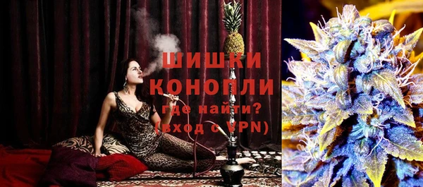 ГАЛЛЮЦИНОГЕННЫЕ ГРИБЫ Михайлов