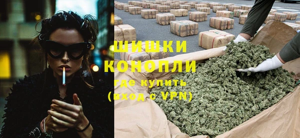 ГАЛЛЮЦИНОГЕННЫЕ ГРИБЫ Михайлов