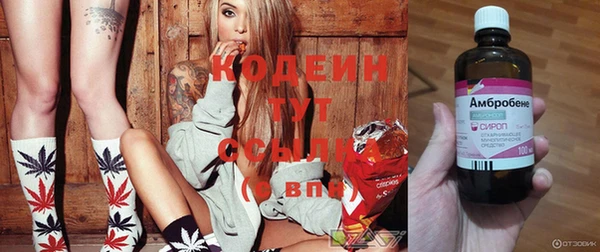 ГАЛЛЮЦИНОГЕННЫЕ ГРИБЫ Михайлов