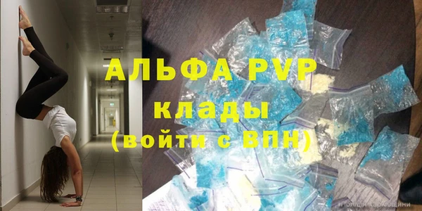 ГАЛЛЮЦИНОГЕННЫЕ ГРИБЫ Михайлов