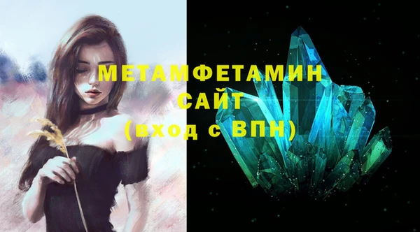 ГАЛЛЮЦИНОГЕННЫЕ ГРИБЫ Михайлов