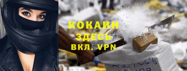 ГАЛЛЮЦИНОГЕННЫЕ ГРИБЫ Михайлов