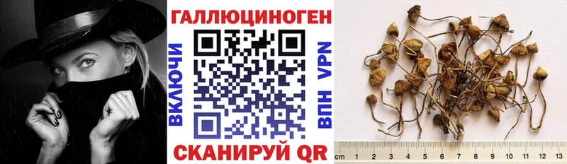 darknet состав Суоярви Псилоцибиновые грибы прущие грибы